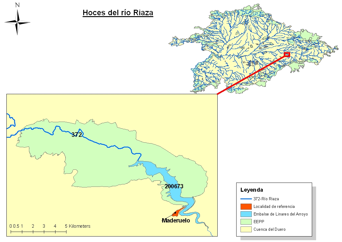 Hoces del río Riaza