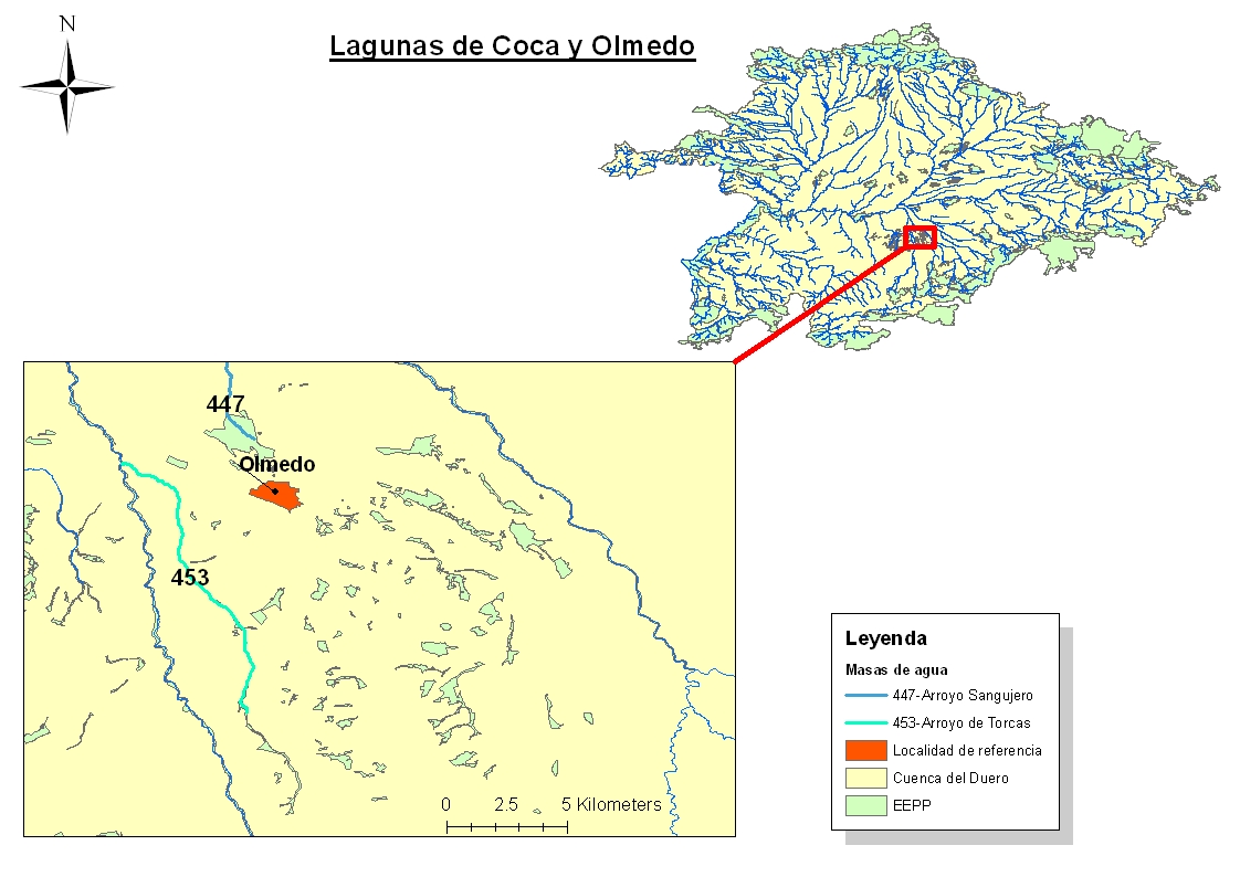 Lagunas de Coca y Olmedo Lagunas de Coca y Olmedo