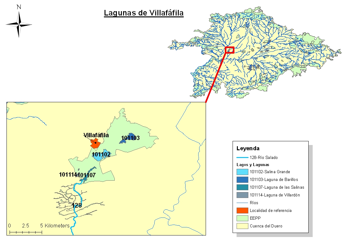 Lagunas de Villafáfila - Imagen 2