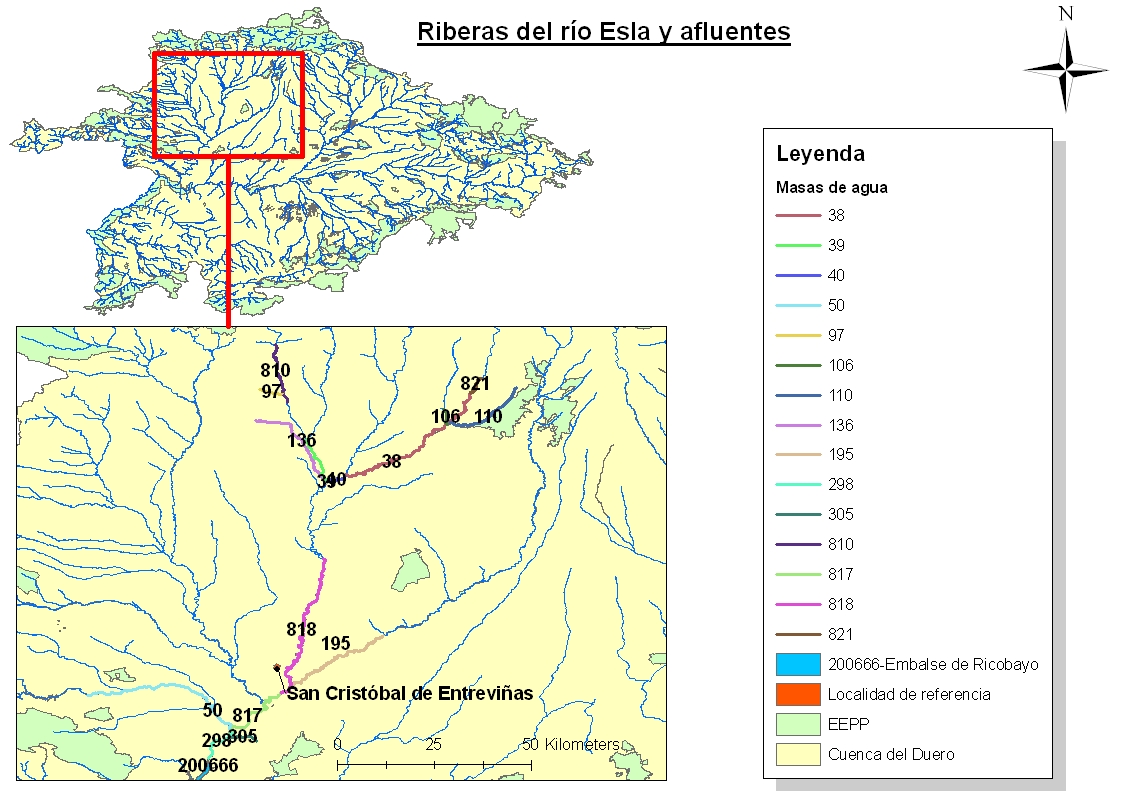 Ribera del río Esla y afluentes - Imagen 2
