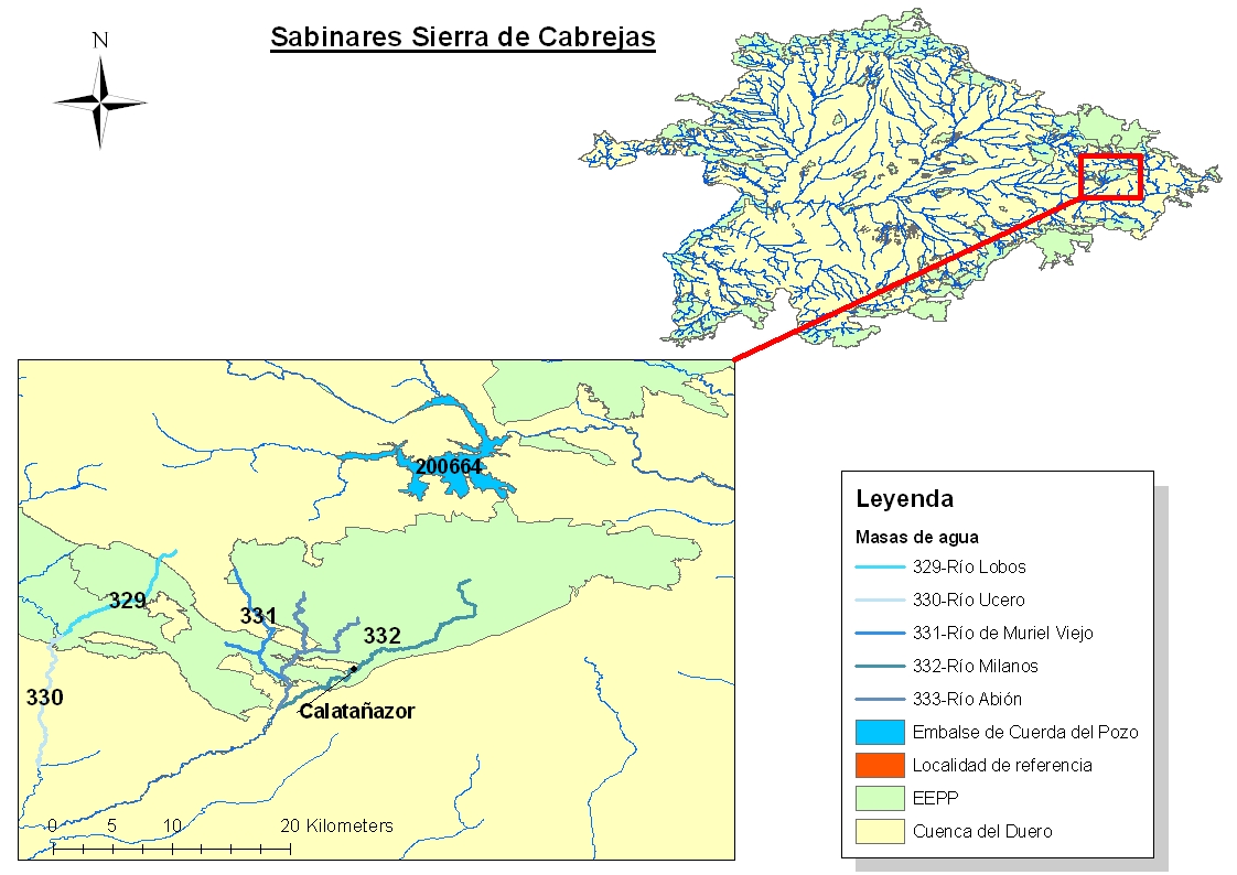 Sabinares sierra de Cabrejas - Imagen 2