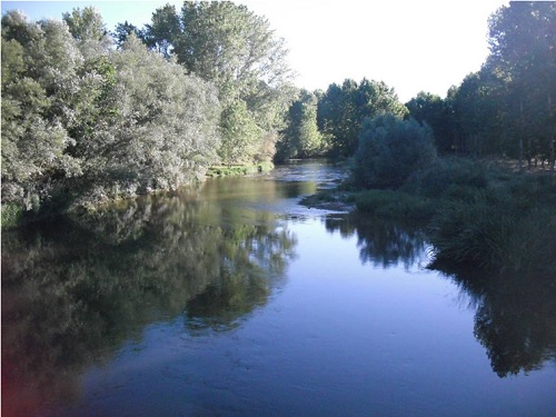 Riberas del río Arlanzón y afluentes - Imagen 3