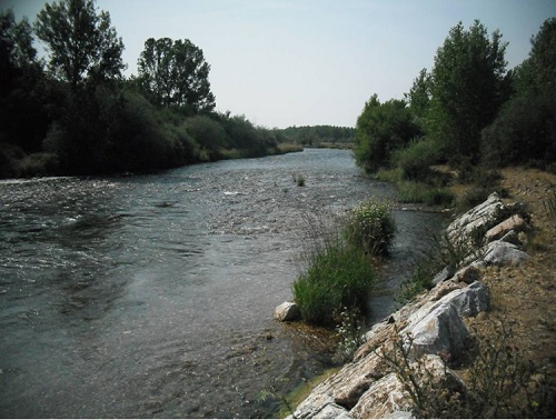 Riberas río Carrión y afluentes - Imagen 3