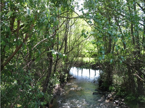 Río Tamega - Imagen 3