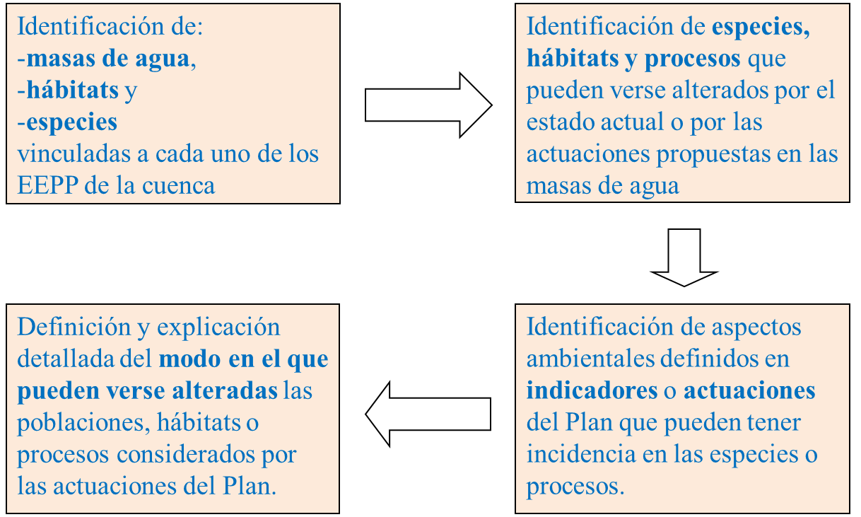 Esquema metodología